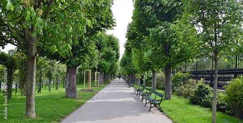Volksgarten in Vienna