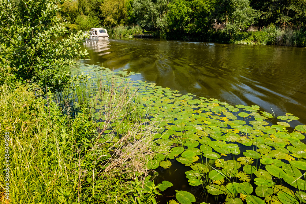 Idyllic view of water lilies seen on an inland waterway in the UK. A distant motor launch is seen travelling downstream near dense woodland.