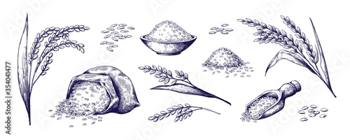 Hand drawn rice. Organic cereal in bag and rice porridge in bowl, sketch doodle set of wild jasmine steamed and basmati rice. Vector outlined illustrations rice plant and grains