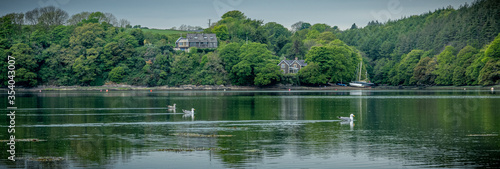 River View