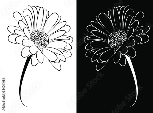 Abstract painting of a flower with petals digital art - vector illustration drawing concept