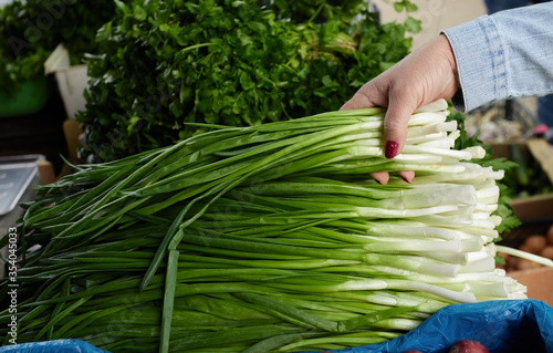 Woman hand choose green fresh onion in organic market. Concept of healthy food, bio, vegetarian, diet