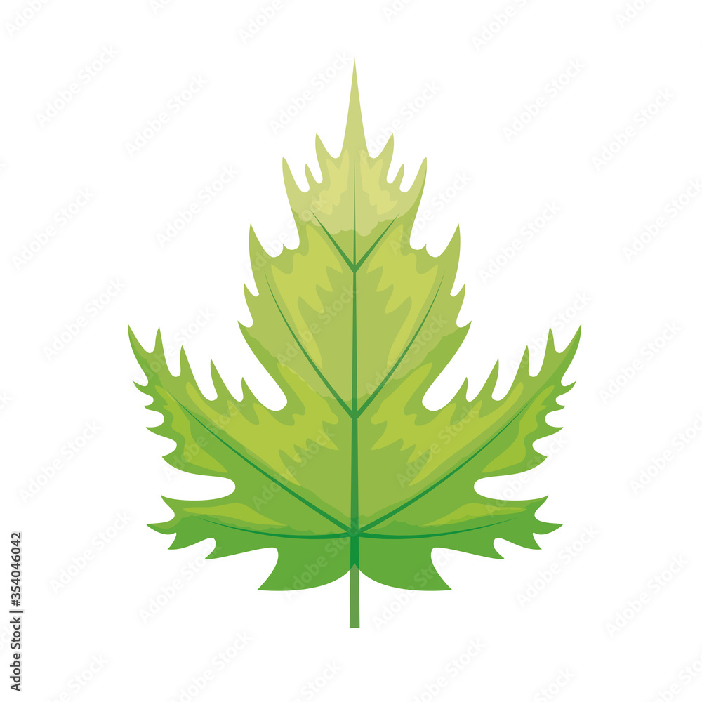 Fototapeta premium eco green leaf on white background vector illustration design