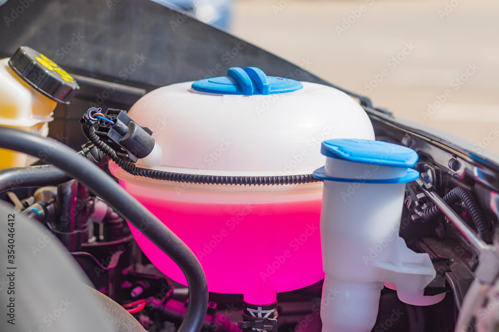 daylight. hood up. Expansion tank with pink liquid. Close-up daylight. hood up. Expansion tank with pink liquid. Close-up