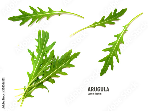 Fotografie Green fresh leaf rucola or arugula isolated on white background