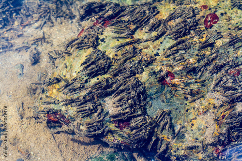 group of tricopter cases in the water photo