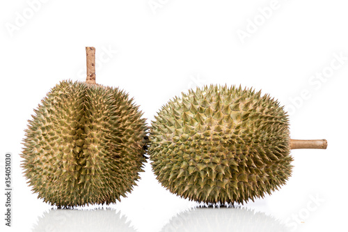 Popular Malaysian durian D101 breed against white background