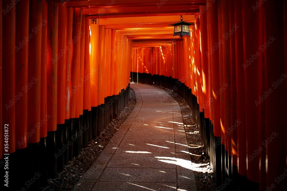 Fototapeta premium 伏見稲荷大社千本鳥居