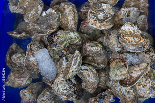 Fototapeta Naklejka Na Ścianę i Meble -  A pile of raw oyster and an oyster in a blue color bucket in a wet market. Raw oysters in the shell Close up of a pile of freshly cultivated oysters.
