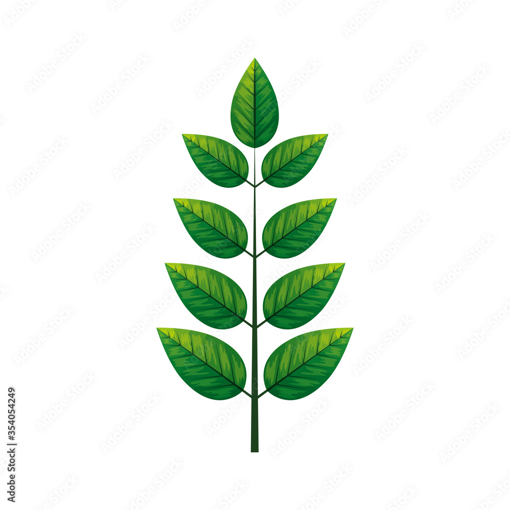 botanical, green leaves, herbs and branch on white background vector illustration design botanical, green leaves, herbs and branch on white background vector illustration design