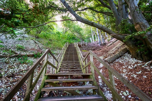 Beautiful wooden staircase in a mountain forest. Mons Clint. Denmark.Travels.