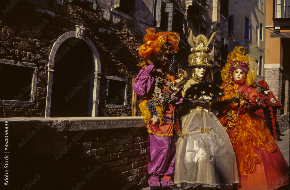 Revelers wearing costumes at the Venice Carnival