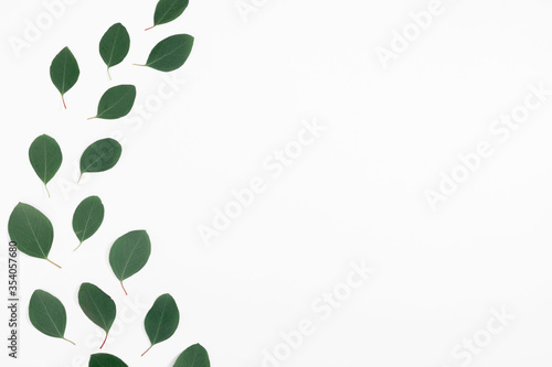 Eucalyptus branches and leaves on white background. Minimal composition of eucalyptus. Flat lay, top view, copy space