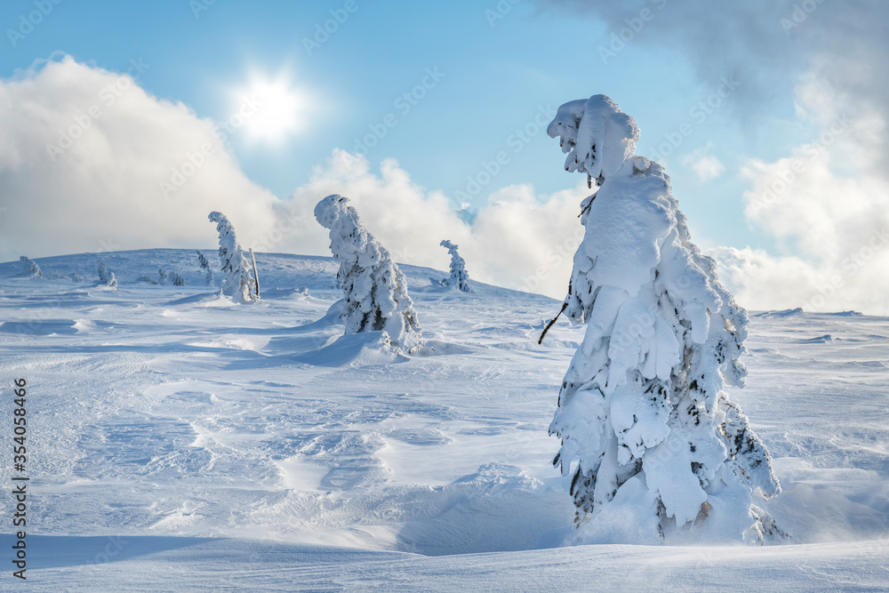 Beautiful winter landscape with snow covered trees Beautiful winter landscape with snow covered trees