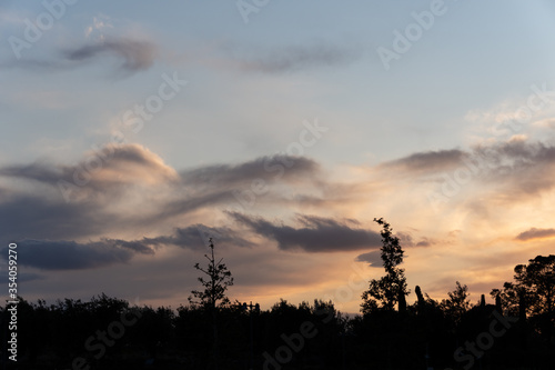 Silhouette of trees against cloudy sky in Athens during sunset