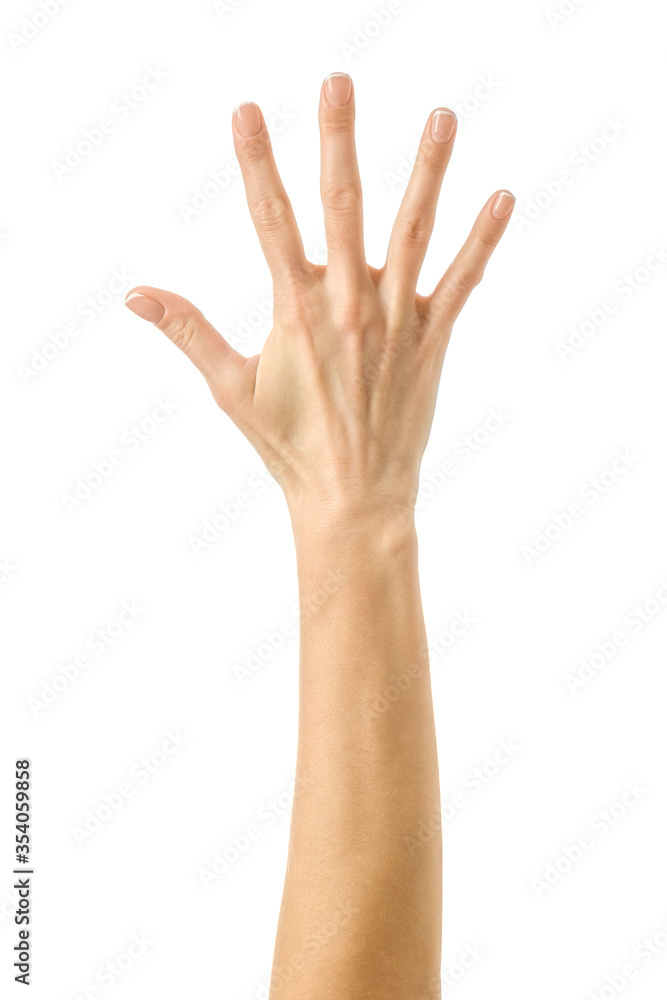 Number five. Woman hand gesturing isolated on white Number five. Woman hand gesturing isolated on white