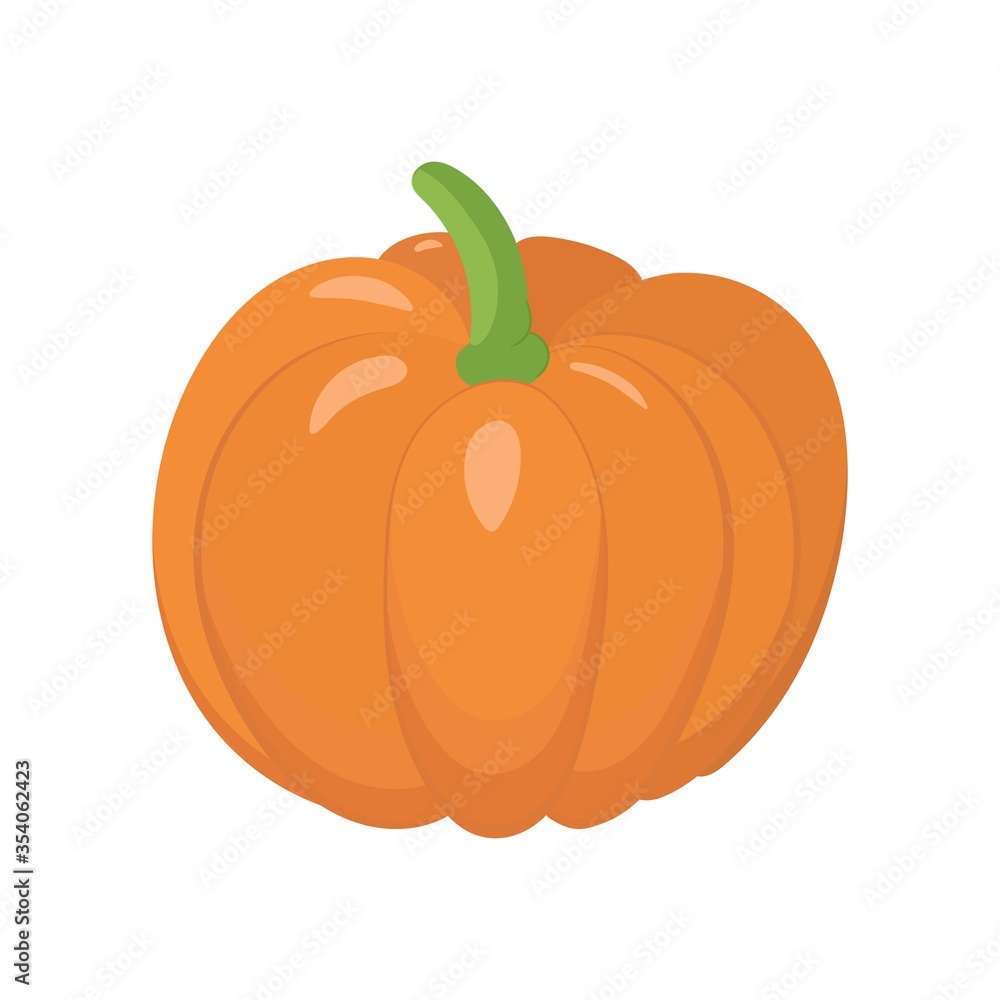 Obraz premium Pumpkin vector. Organic raw vegetable icon. Thanksgiving and halloween design element.