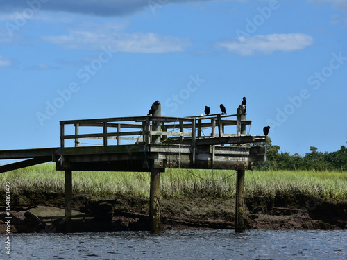 Wooden Dock Over a Tidal River and Marsh photo