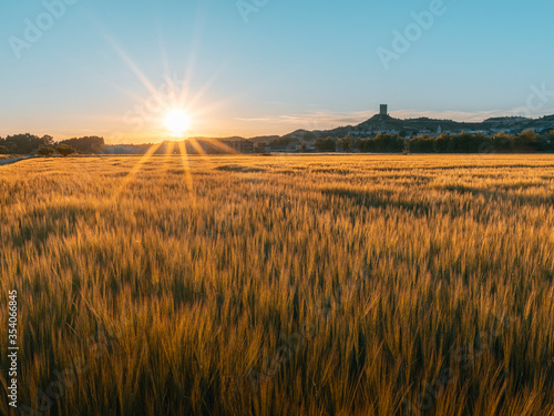 Cereal field at sunset with village in the background