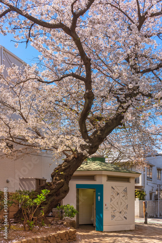 Hexagonal public toilet pavilion in the public Okakura Tenshin Memorial Park of Yanaka dedicated to the founder of Tokyo University of the Arts under the cherry blossom trees.