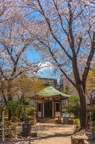 Hexagonal pavilion dedicated to the founder of Tokyo University of the Arts or Geidai in the public Okakura Tenshin Memorial Park of Yanaka under the cherry blossom trees. © kuremo