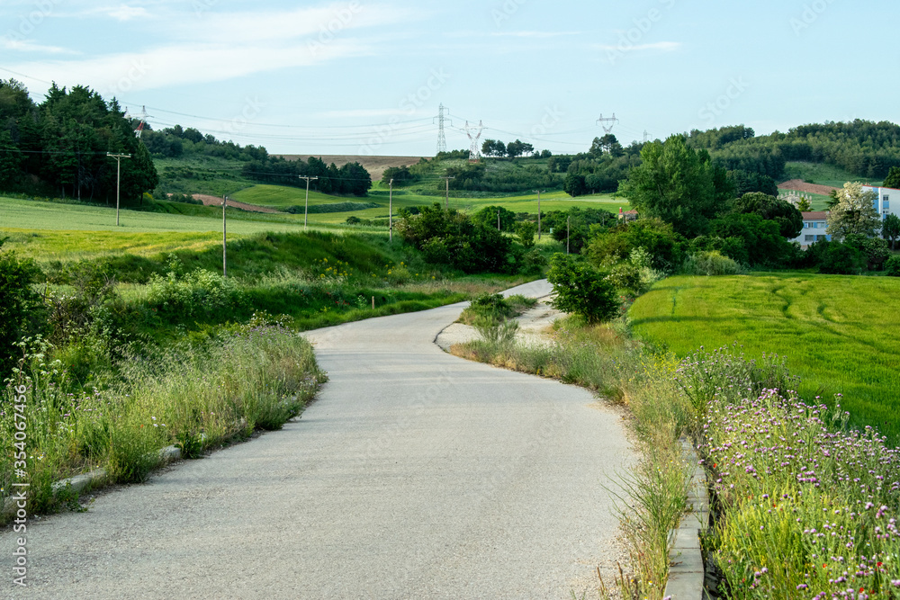 Caminos rústicos atravesando campos en primavera.