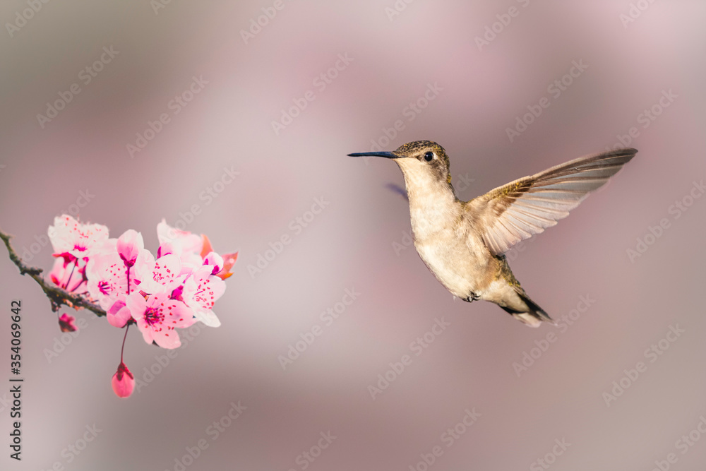 Naklejka premium #oiseau #mouche #colibris #bird #colourfulbirds #naturephotography #onabesoindevous #oiseaux #fly #cartefaitmain #birds #paris #annedorion #streetart #photography #picoftheday #sculpturebois #wildlife