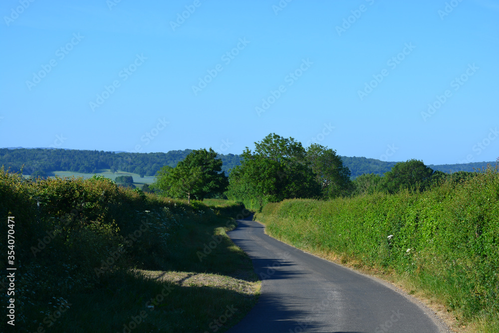 Typical English country lane in summer, Dorset, England