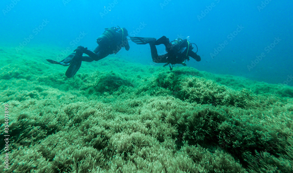 Fototapeta premium Scuba divers, diving in the mediterranean sea.