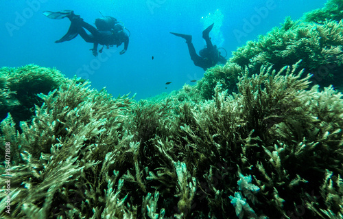 Scuba divers, diving in the mediterranean sea.