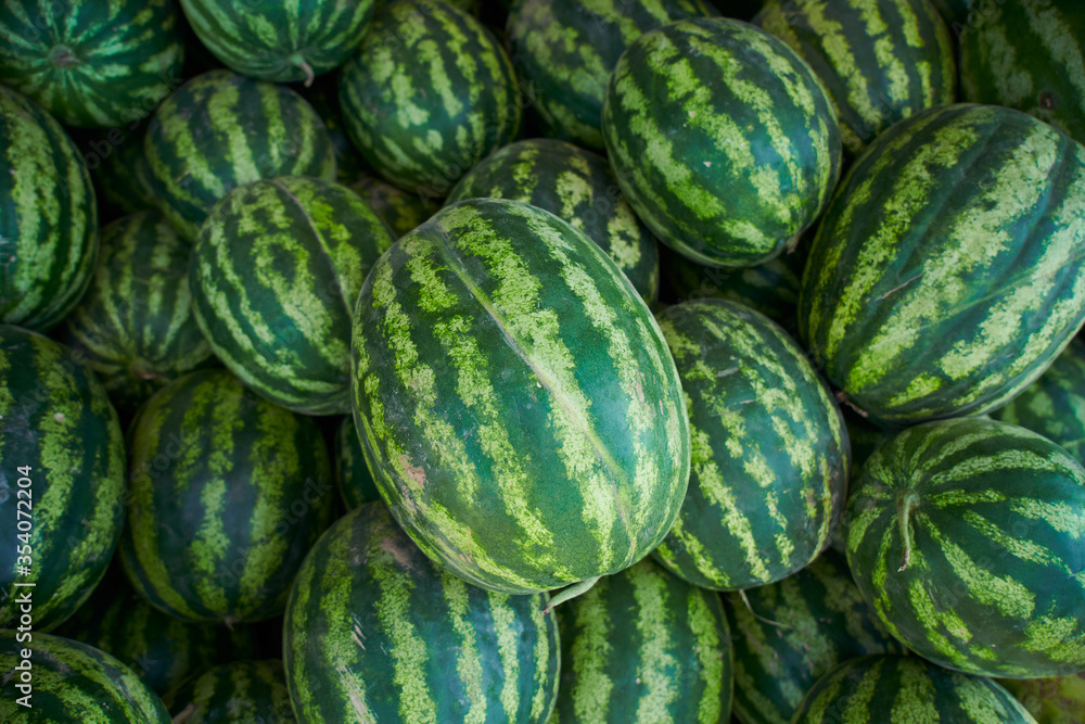 a lot of watermelons are lying in a heap a lot of watermelons are lying in a heap