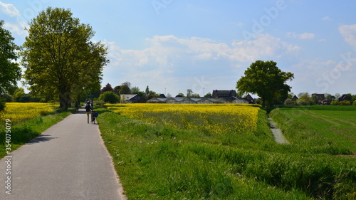 Marschbahndamm_016