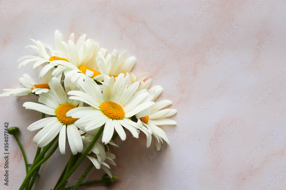 Obraz premium postcard mockup. bouquet of white daisies on a white background. congratulation. invitation