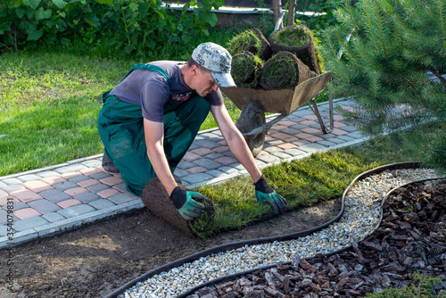Man laying grass turf rolls for new garden lawn