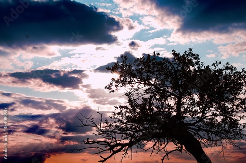 sunset in the sky