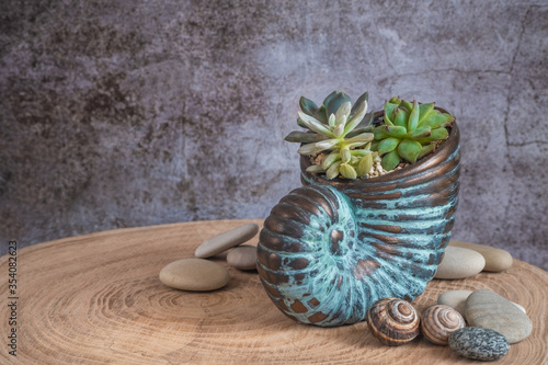 Succulents in a decorative planter on wooden table. Decor for interior. Stylish decoration for home. Copy space