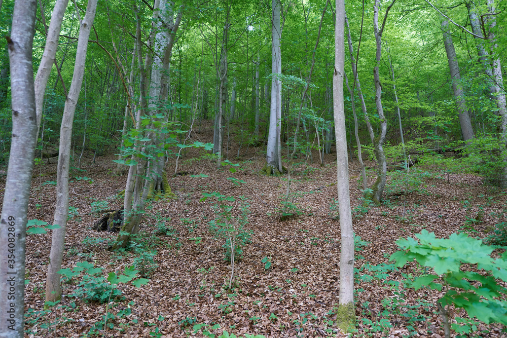 Hiking in beautiful landscape of Bad Urach, Swabian Alb, Baden-Wuerttemberg, Germany, Europe