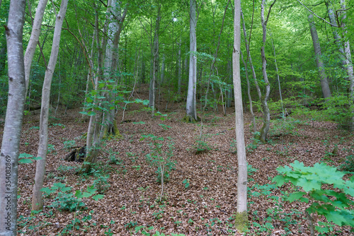 Quadro em tela Hiking in beautiful landscape of Bad Urach, Swabian Alb, Baden-Wuerttemberg, Ger