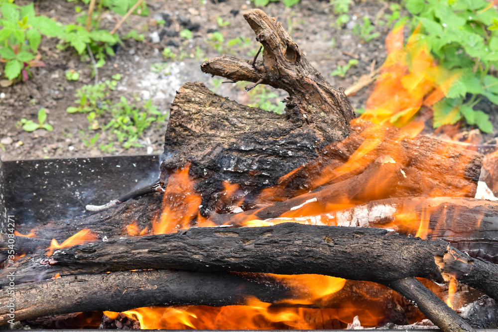 Flames of fire, flame texture background. Bonfire. Flames of fire on a tree. The tree is burning. Flames of fire, flame texture background. Bonfire. Flames of fire on a tree. The tree is burning.