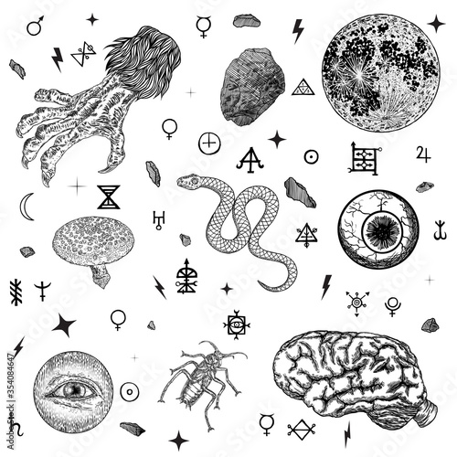 Occult alchemy pagan magic symbols set. Witchcraft symbols and black moon. Spiritual art of occultism and witch craft with random starry mystic fantasy background. Witch hand with nails, veins. Vector