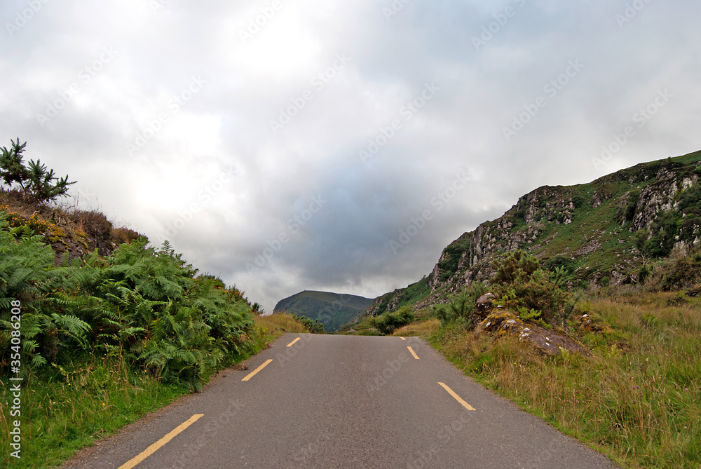 View along the road, Killarney National Park, Ireland