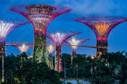 Night view of Gardens by the Bay. Singapore