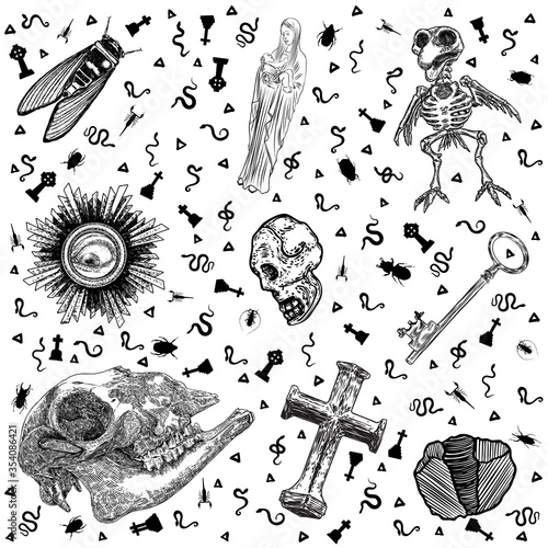 Occult medieval ancient book elements. Witchcraft occultism mystic alchemy symbols. Sacred craft art. Key, human and goat skull, eye, crystal, Maria with Jesus, cicada, bird skeleton, cross. Vector.