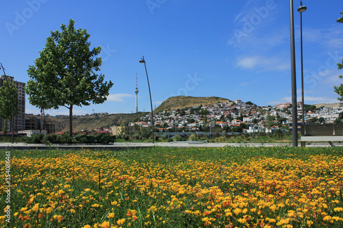 Azerbaijan. Flowers on the seaside boulevard. On Bailovo. Baku city. photo