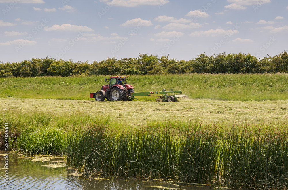 Fototapeta premium Farmer cutting Hay for animal feed by a fen