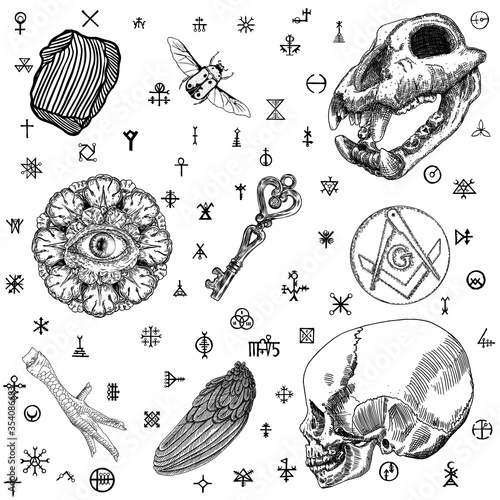 Magic occult set. Hand drawn occultism mystical witchcraft set for spell book and potion cook. Key, human and monkey skull, eye, crystal, chicken foot, bug, insect, bird wing, mason symbol. Vector.