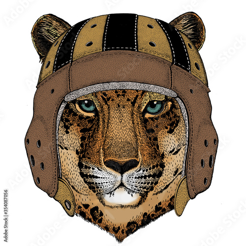 Leopard, jaguar face. Rugby leather helmet. Portrait of wild animal.