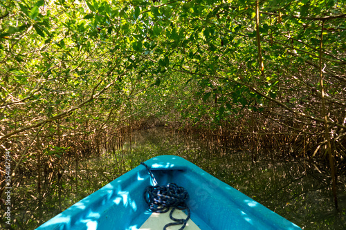 Fahrt durch die Mangroventunnel der Laguna Chacahua, Oaxaca, Mexiko photo