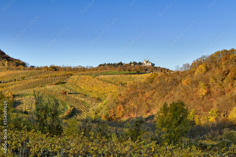 View over vineyards and woods to Leopoldsberg, colorful leaves in golden fall afternoon light, Vienna, Austria