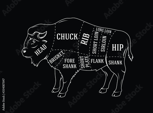 Butchers diagram guide for cutting bison